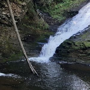 Meet your Posher, Richard